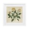Stupell Industries Yellow Bushels Botanical Illustration Framed Print Under Glass, design by Petal Prints Design